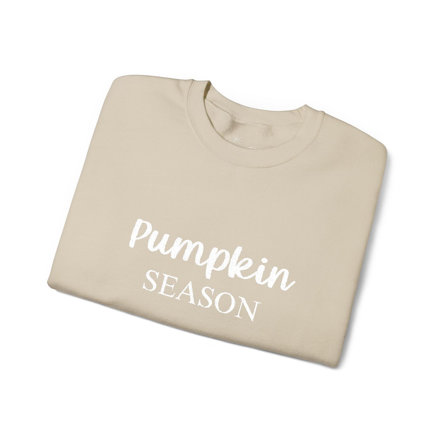 Embroidered Pumpkin Season Crewneck